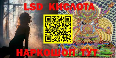 эйфоретик Гуково