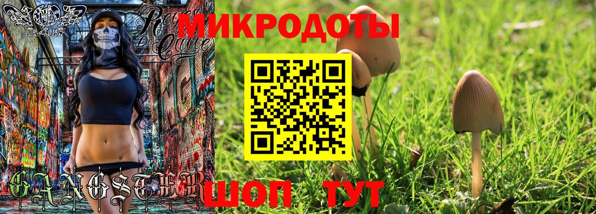 Галлюциногенные грибы GOLDEN TEACHER  Вход с VPN  Псилоцибиновые грибы GOLDEN TEACHER  Ачинск 